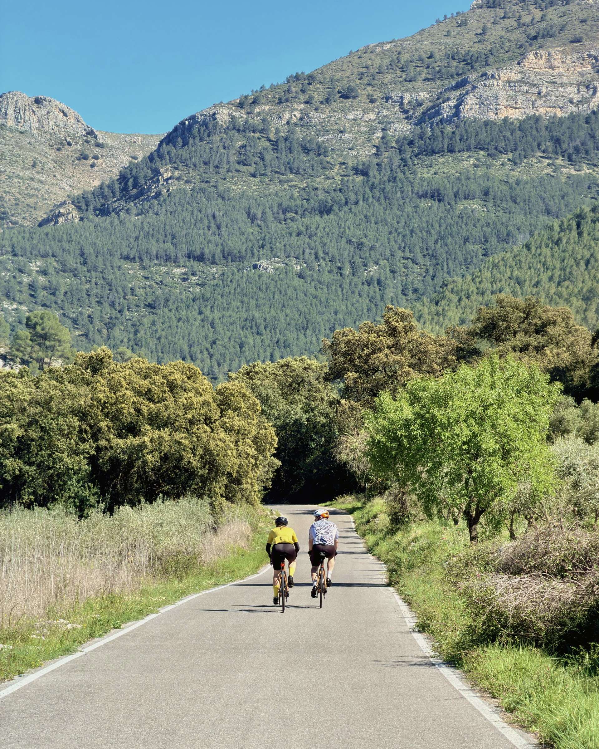 Deux cyclistes roulent côte à côte sur une route qui traverse une vallée verte